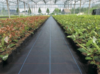 Gronddoek Herbstop 90gr/m² Gronddoek Herbstop 90gr/m²